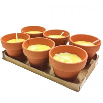 Candela Citronella Vaso mm 60 pz.6 Lapillo 09295