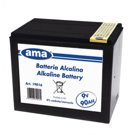 Batteria Elettrificatori Ranch V9 Ah90