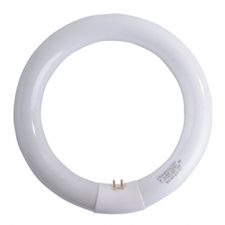 Lampada Fluorescente T9 W22 Circolare Airam