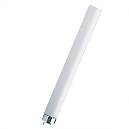 Lampada Fluorescente T8 W30