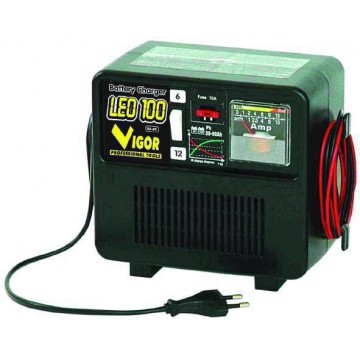 Vigor Leo 100 charger