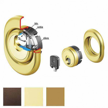 Protettore Monolito Magnetico Mm 38 Br 3G2Mb Disec