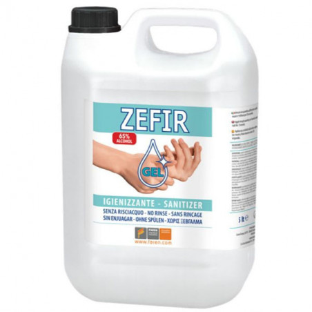 Disinfettante Mani Gel Zefir L 5 Faren