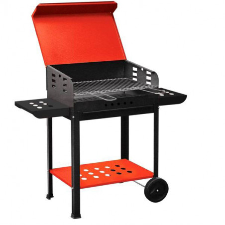 Barbecue Vanessa Cm 50X40 H 90 Mille