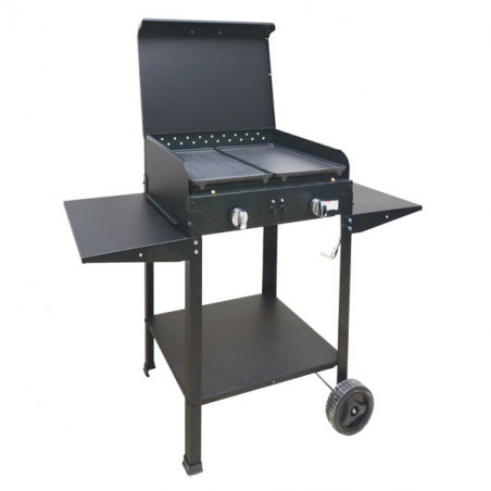 Barbecue Gas Zeus 2 Fuochi Cm 54X43 H 90 Mille