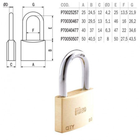 Lucchetto Ottone Mm 25 Arco Medio City Iseo