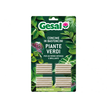Concime in bastoncini per piante verdi – 20 pezzi – GESAL – Nutrimento equilibrato e foglie brillanti