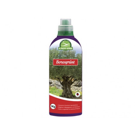 Concime liquido Borosprint 1kg – Agribios – Apporto di boro per fioritura e allegagione – H16006