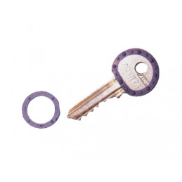 Anelli copritesta per...