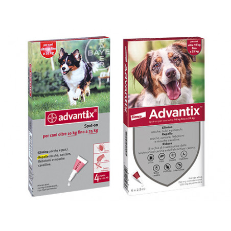 Advantix per cani 10–25 kg – 4 pipette da 2,5 ml – Protezione antiparassitaria