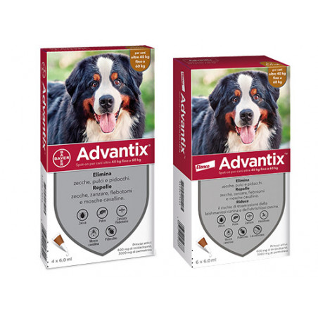 Advantix spot-on per cani 40-60 kg – 6 pipette – Protezione antiparassitaria avanzata