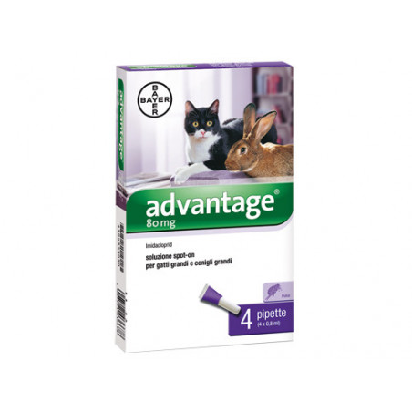 Advantage spot-on per gatti oltre 4 kg – 4 pipette – Protezione antipulci prolungata