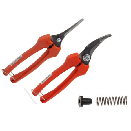 Forbici per uva – Lama retta sottile – Lunghezza 19 cm – Con fodero – Bahco
