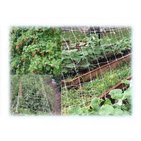 Rete plastificata da giardino H150 cm maglia rinforzata 10 m verde – Brixo Ortonet