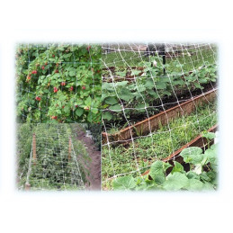 Rete sostegno ortaggi H200...