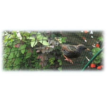 Rete anti-uccelli 10 m H200 cm maglia 10×12 mm – Brixo Noflynet