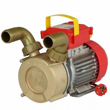 Transfer electric pump mm 40 Rover
