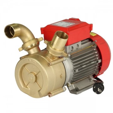 Transfer electric pump mm 50 Rover