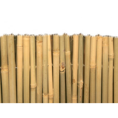 Arella Brixo Master bambù 100×300 cm Ø 15 mm – naturale