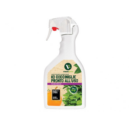 Insetticida per cocciniglie KO spray 750 ml – azione preventiva e curativa – KO