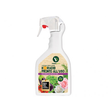 Insetticida Koracid spray 750 ml – contro acari e insetti striscianti – VV231005