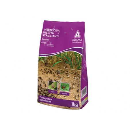 Insetticida granulare Geotox busta 1 kg – azione rapida e duratura