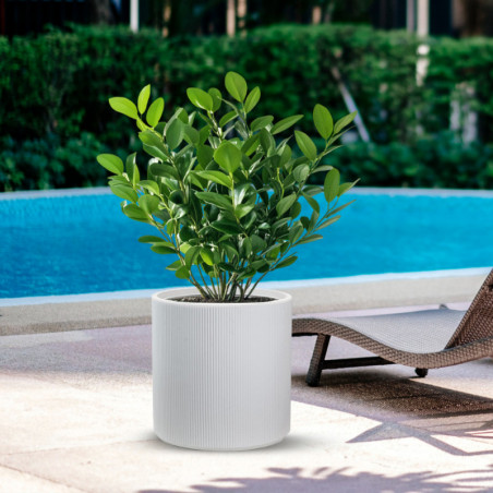 Vaso Modigliani Bianco diam.36×35 cm per Interno ed Esterno in Resina