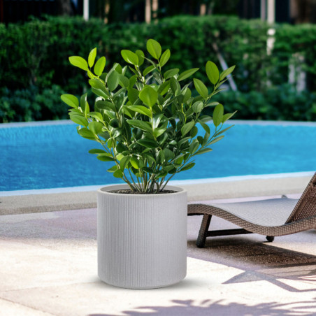 Vaso Modigliani Beige diam.36×35 cm da Esterno e Interno
