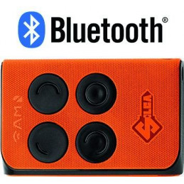 Radiocomando multifrequenza...