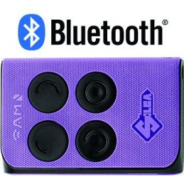 Radiocomando multifrequenza...