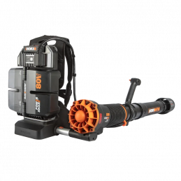 Soffiatore a Batteria...