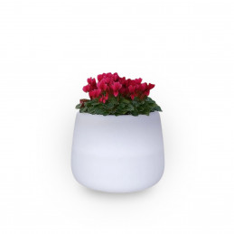 Vaso luminoso moderno di...