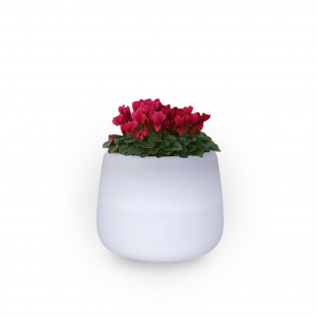 Vaso luminoso moderno di design Ø53 H55 in polimero resistente con LED bianco per interno ed esterno - Made in Italy - Monacis