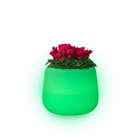 Vaso in Polimero Monacis Goccia Top Cromia Luce Verde diam. 43- h 75cm.
