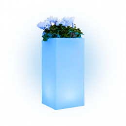 Cube Top Bright Light Blue...