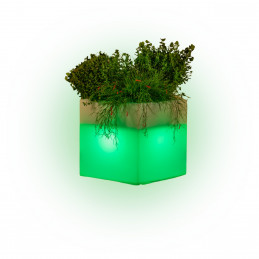 Vaso luminoso moderno di...