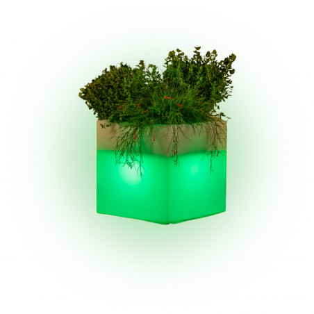 Vaso luminoso moderno di design 40x40 H40 in polimero resistente con LED verde per interno ed esterno - Made in Italy - Monacis