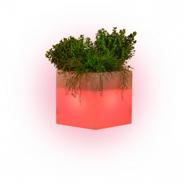 Vaso luminoso moderno di...