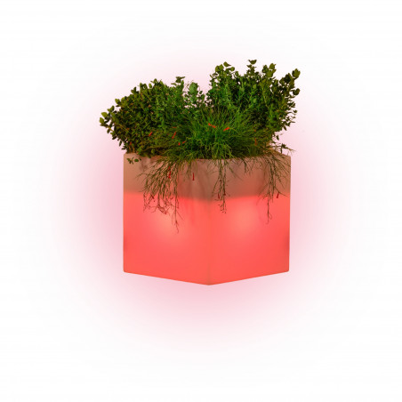 Light Vase in Polymer Monacis Cube Pot Bright cm.40X40X40 Red Light