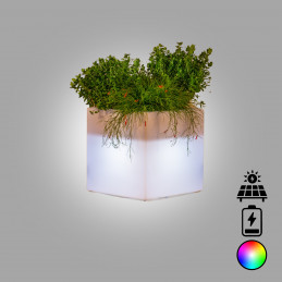 Vaso luminoso moderno di...