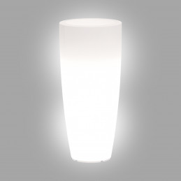 Light Vase in Polymer...