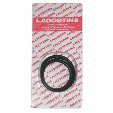 Lagostina pressure cooker gasket cm 22