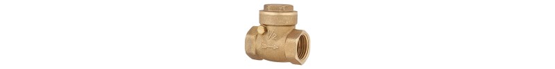 Check valves