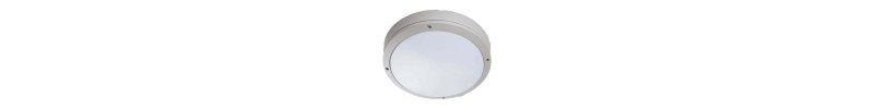 Outdoor ceiling lights