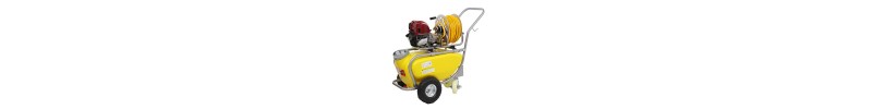 Sprayer pumps